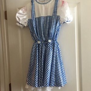 Dorothy Wizard of Oz costume